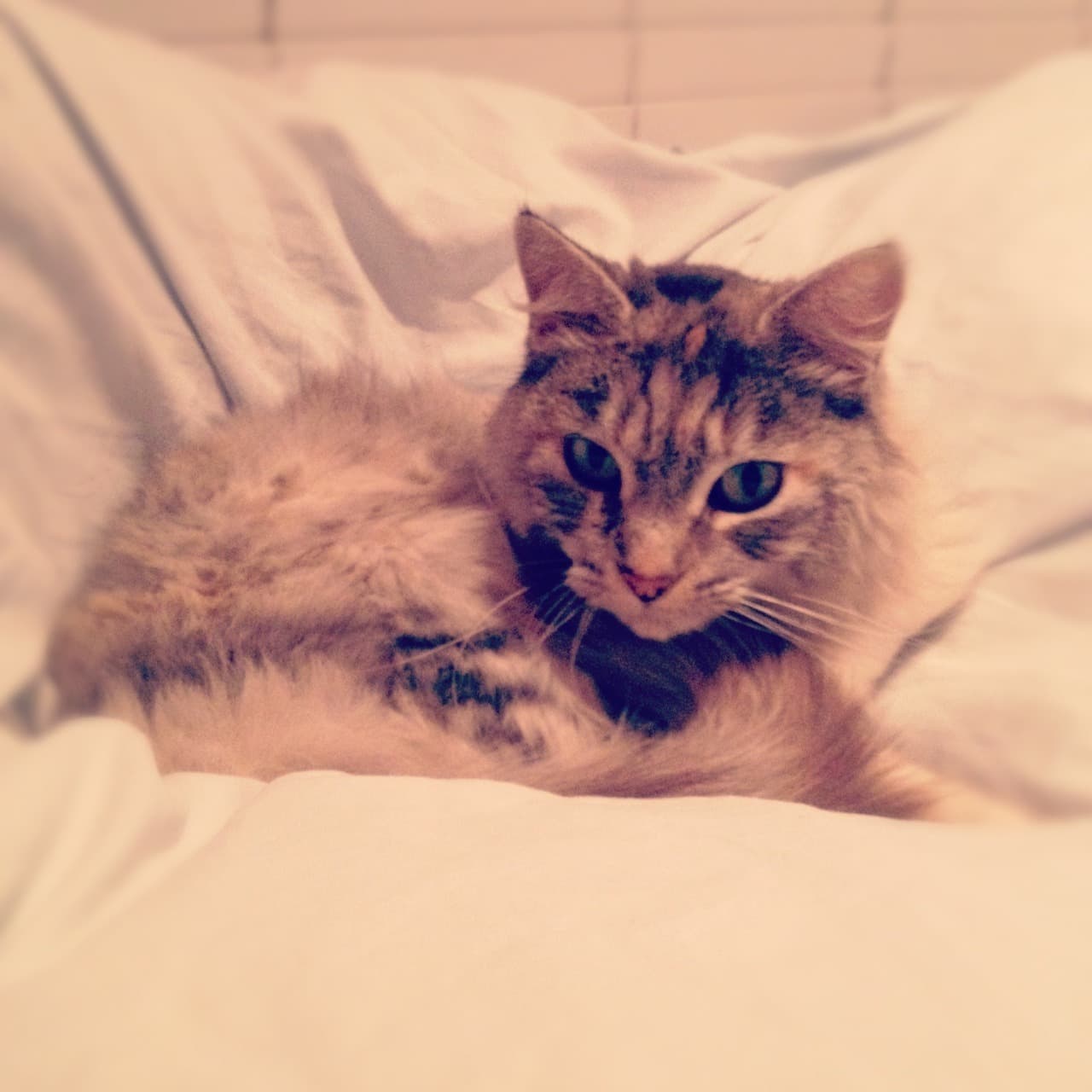 Tina