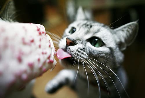 Tango