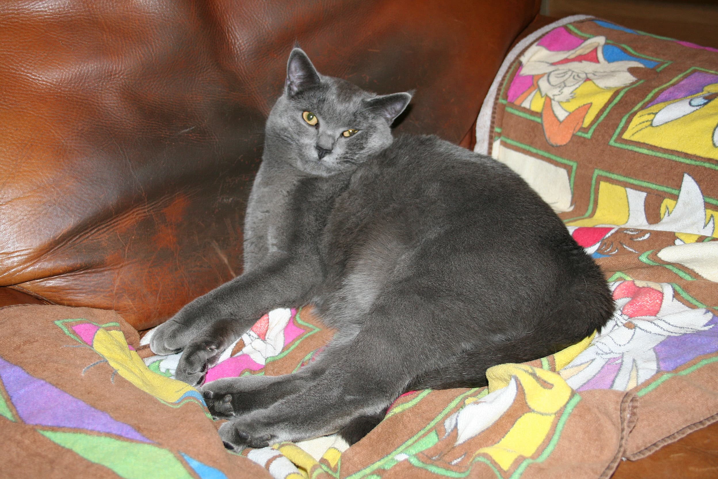 Baron