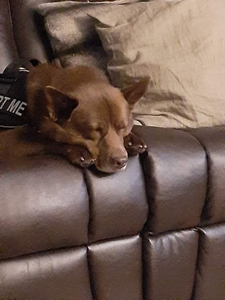 Lola