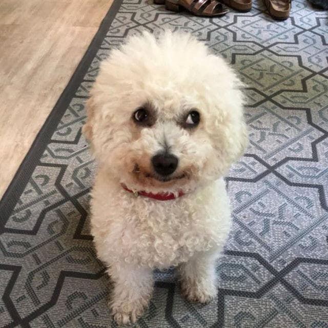 Tina