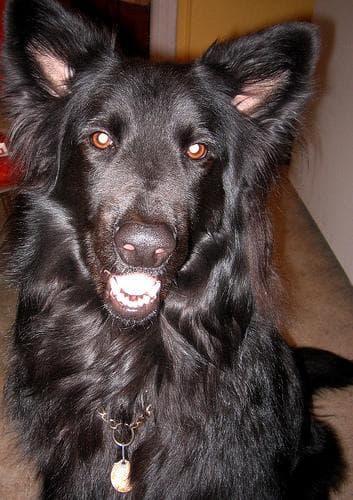 Boby