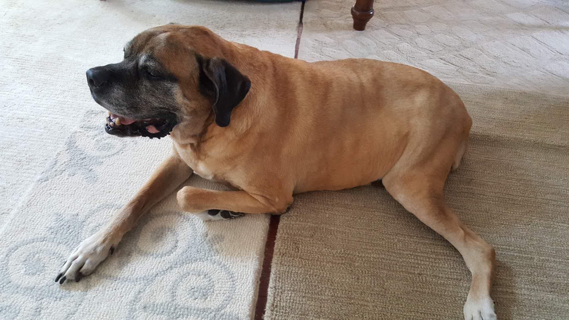 Luna