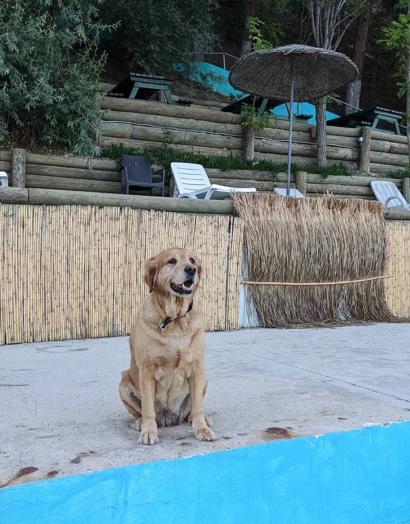 Paco