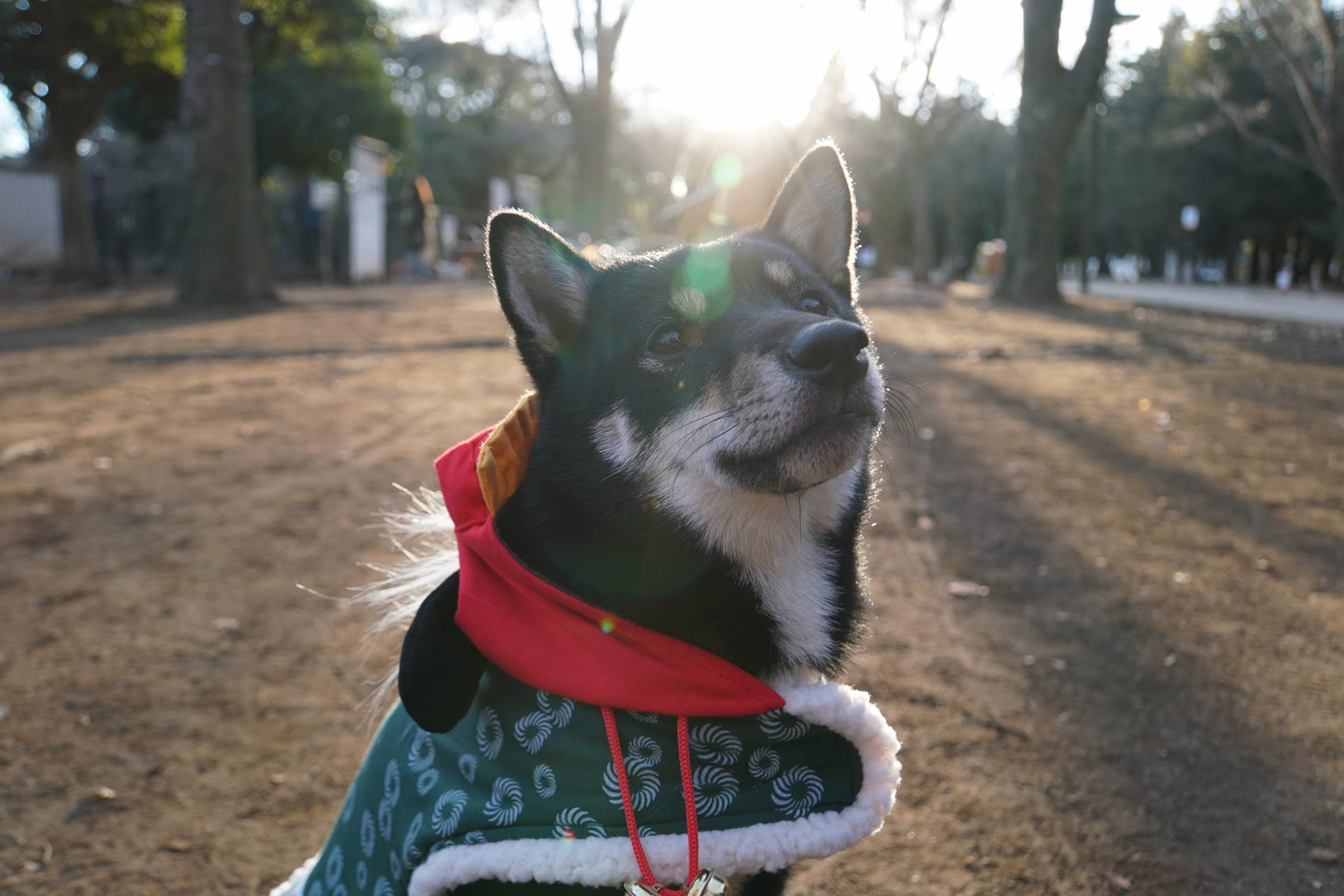 Tita
