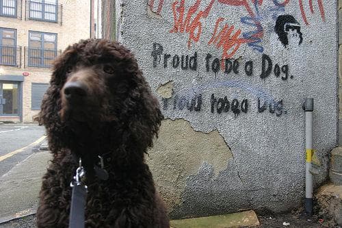 Trueno