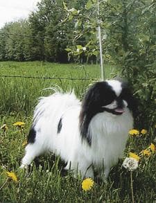 Mochi López