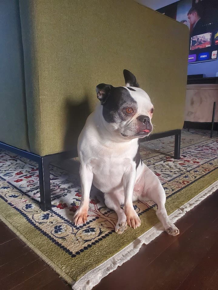 Negrito