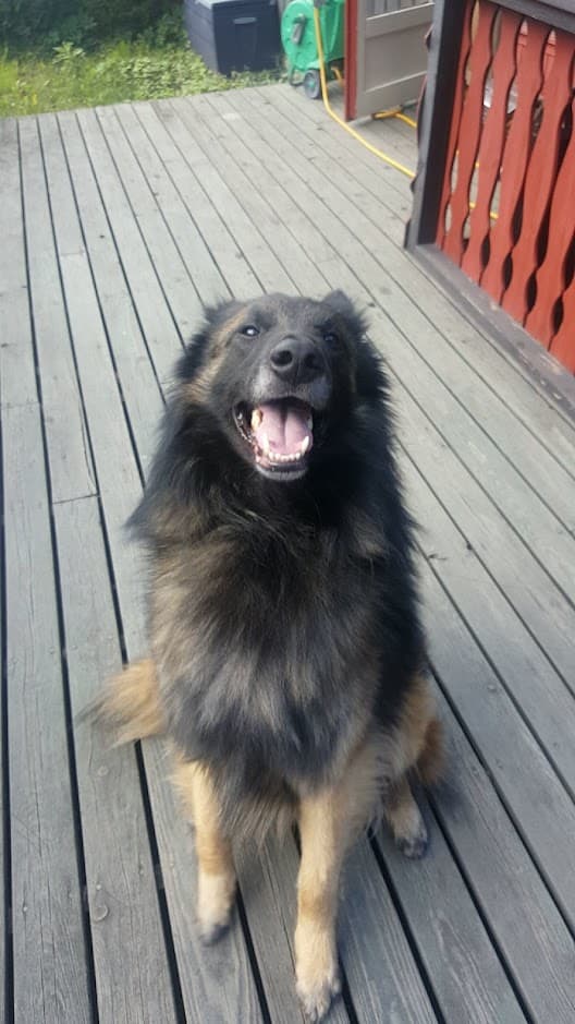 Zeus